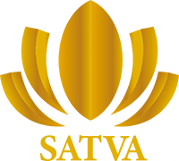 SATVA GOOGLETEQ
